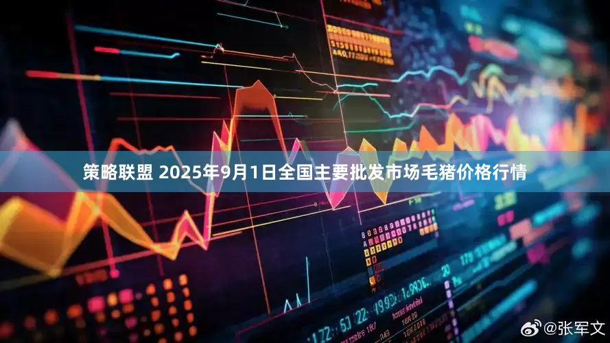 策略联盟 2025年9月1日全国主要批发市场毛猪价格行情