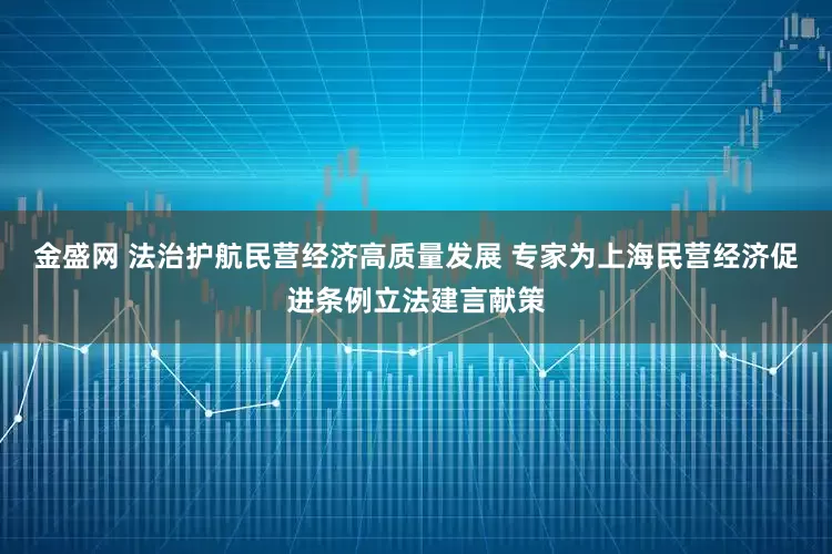 金盛网 法治护航民营经济高质量发展 专家为上海民营经济促进条例立法建言献策